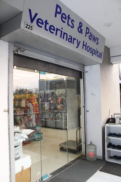 Pets & Paws Veterinary Hospital- Pet Clinic/ Veterinary Doctor/ Pet Hospital business photograph