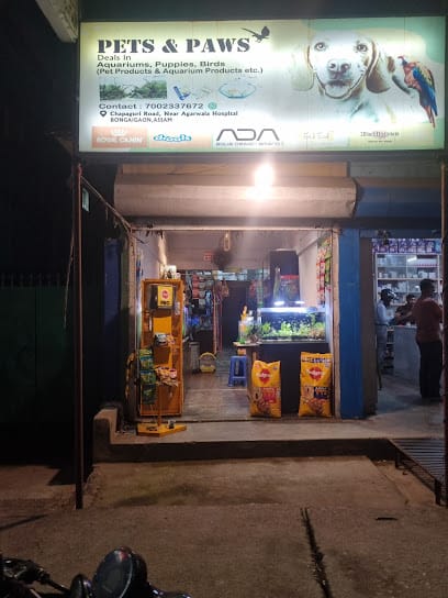 PETS & PAWS business photograph