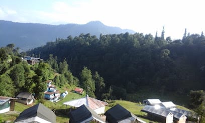 Alpine Adventure Camp business photograph