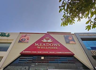 Meadows Wellness - #1 Weight Loss, Skin, Hair & Laser Clinic business photograph