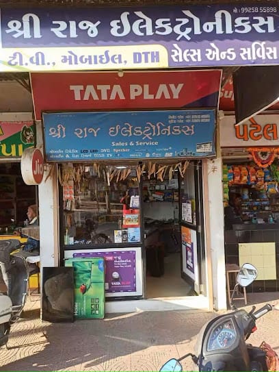 Shree Raj Electronics business photograph