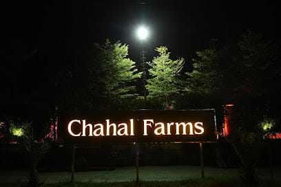 Silver Farms, A unit of Chahal Farms business photograph