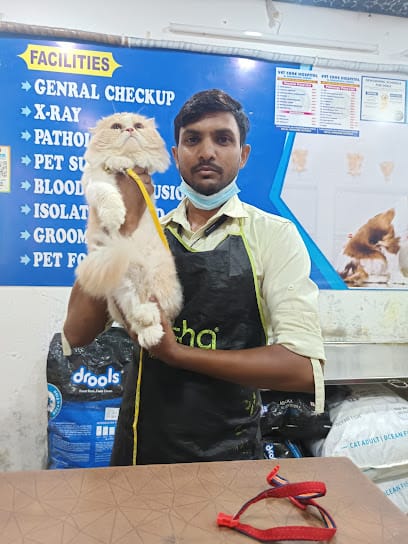 Vet Care Hospital & diagnostic center business photograph