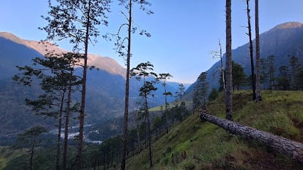 Joyee Car Rental Service Dibrugarh business photograph