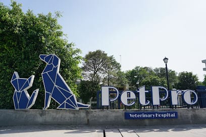 Pet Pro business photograph