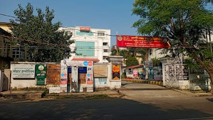 Divine Life Bamboos Green Gold Eco Store business photograph