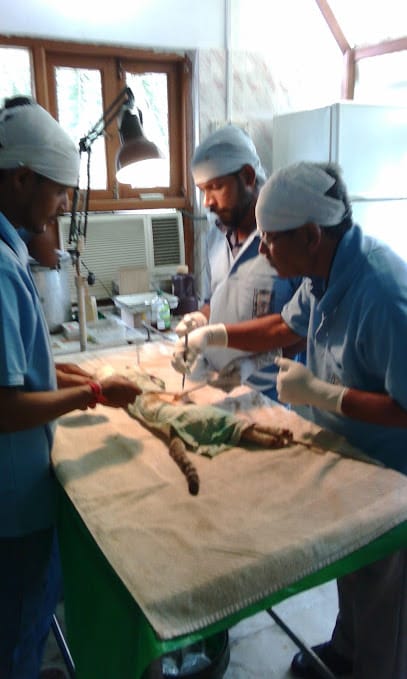 Love N Care for Animals business photograph