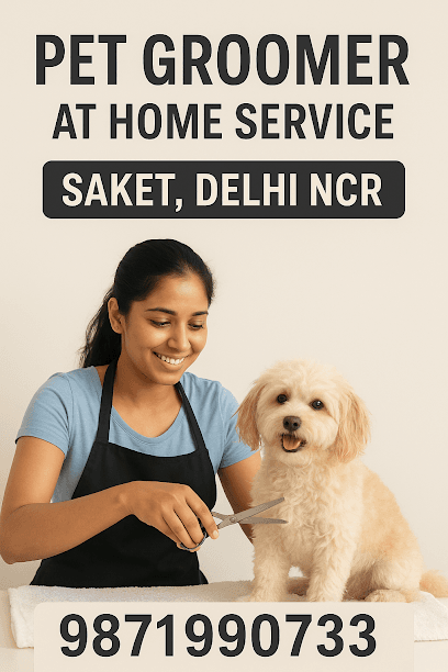 Pet Groomer At Home business photograph