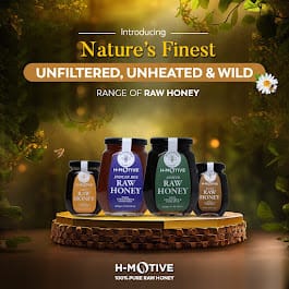 H-MOTIVE FOODS PRIVATE LIMITED. business photograph