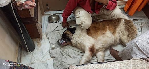 Pet Care & Para Veterinarian Services business photograph