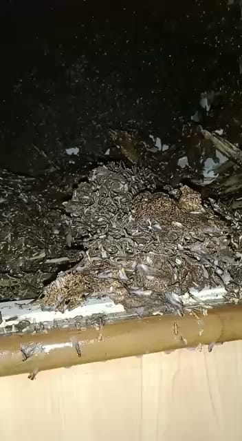 APSO SERVICES PRIVATE LIMITED business photograph