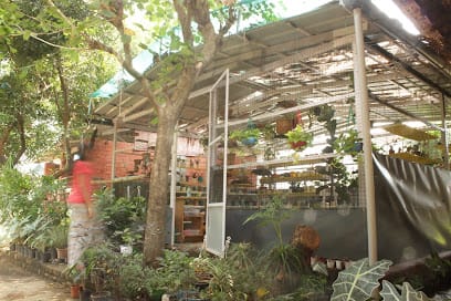 Prakruti Plants and Pots business photograph