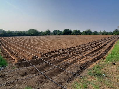 satva organic bio dynamic farm business photograph