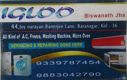 IGLOO business photograph