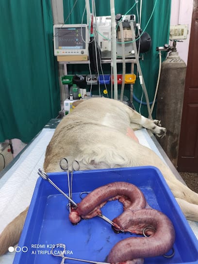 Aastha Pet Clinic and Surgical Centre business photograph