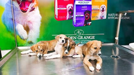 Pet Paradise Veterinary Clinic business photograph