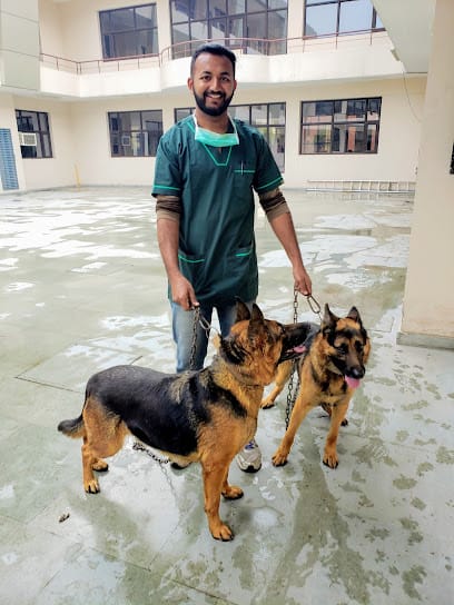 Vets At Home business photograph