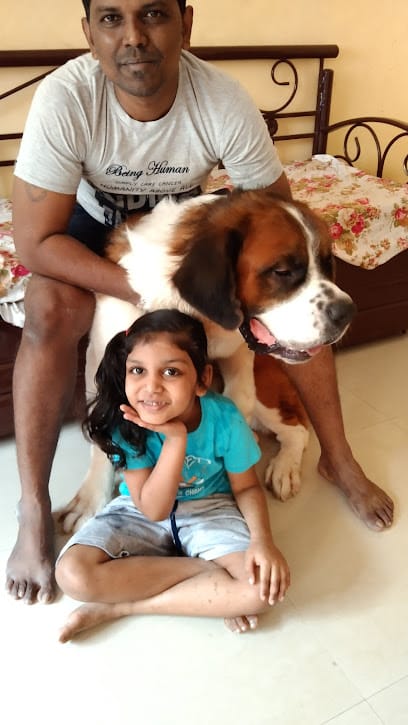 Pet Paradise Daynight care business photograph