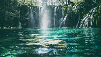 MD Agency business photograph