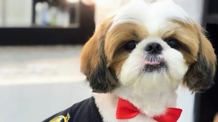 Wiggly pups . business photograph