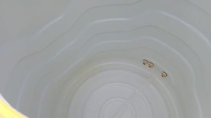 Nirmaladhare Solutions (sump&tank cleaning Mysore) business photograph