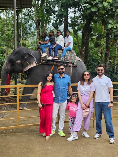 MUNNAR ANGEL CABS business photograph
