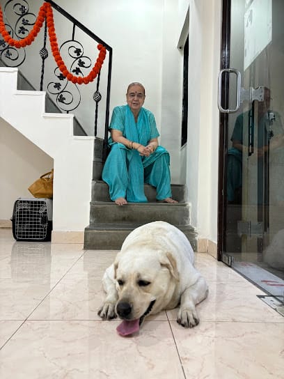 Sierra Pet Boarding business photograph