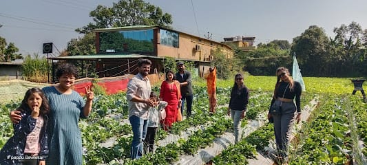 Rajdhani strawberry farm business photograph