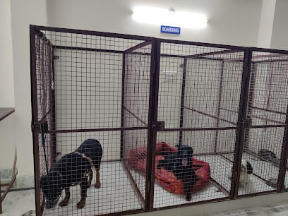 Urban Vet Pet Clinic business photograph