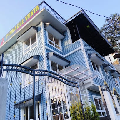 Pinnacle Vesta business photograph