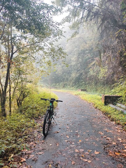 Bunk And Trails(Mountain bike tours and rentals) business photograph