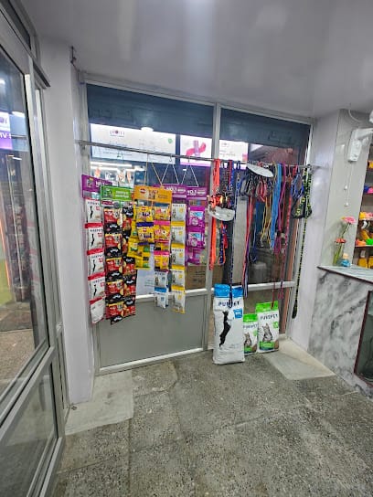 Pet Paradise business photograph