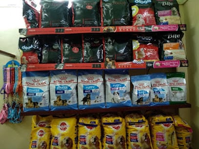 PAWsitive Pet Care business photograph