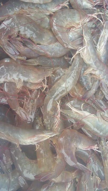 Simon Peter Fish Meat Online business photograph