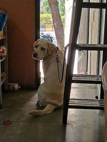 Real Care Small Animal Clinic business photograph