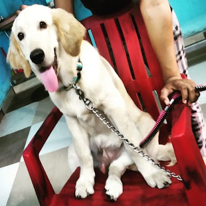 Dr Venkatesh's Vet n Pet clinic business photograph