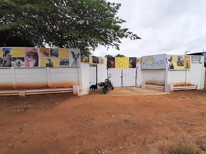 Play Pet Boarding business photograph