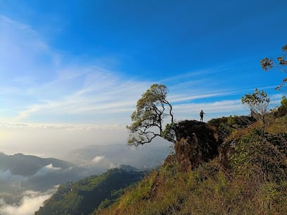 SHADOW TREKKERS MUNNAR/Munnar trekking Tours business photograph