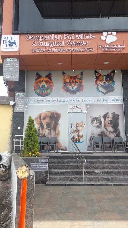 Companion Pet Clinic & Surgical Centre Dr.Mahesh Raut business photograph