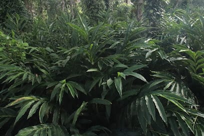 The Spices Online - Kerala Spices Online Spice Store business photograph