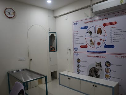 The Pet Hospital business photograph