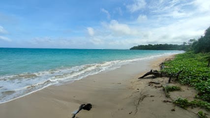 Eternal Andamans business photograph