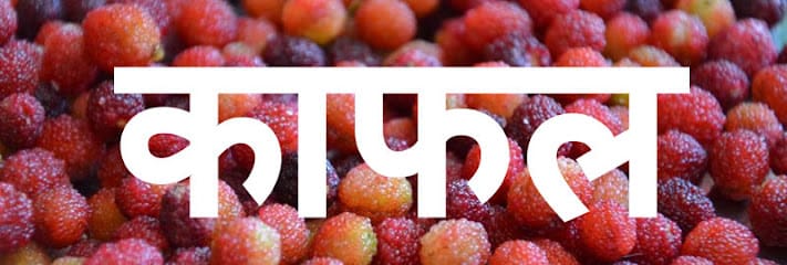 Kaafalcafe business photograph