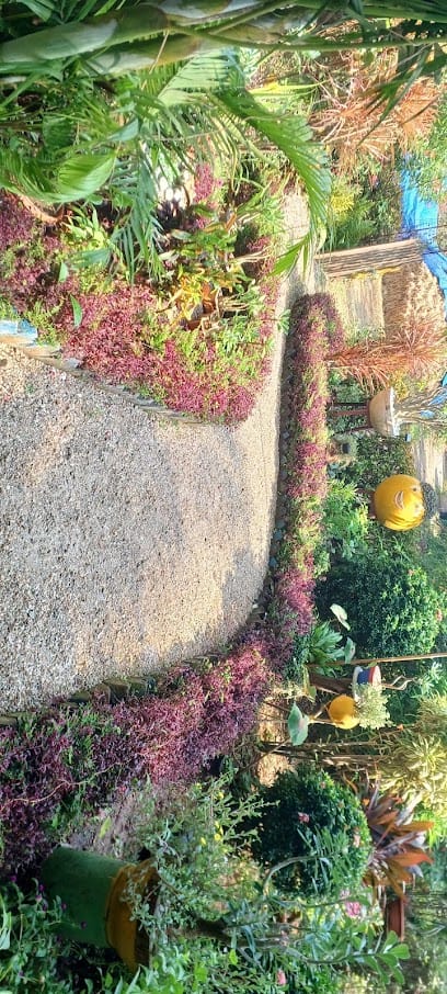 Bhandari Creatives business photograph