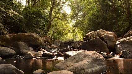 Ciceronis Travel business photograph