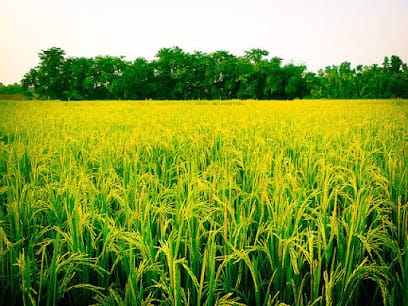 PR.Farms business photograph