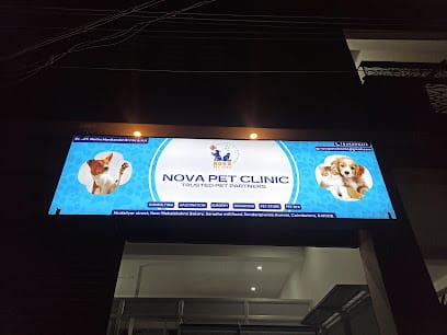 Nova Pet Clinic business photograph