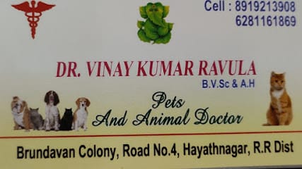 Dr Vinay Pet Animal clinic(PET ANIMAL MEDICALS) business photograph