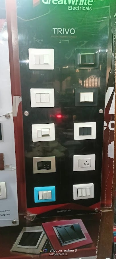 Electrician manish business photograph