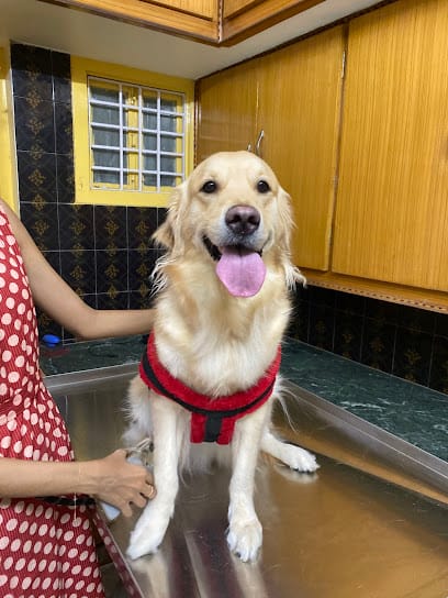 The Mellow Pet Clinic business photograph